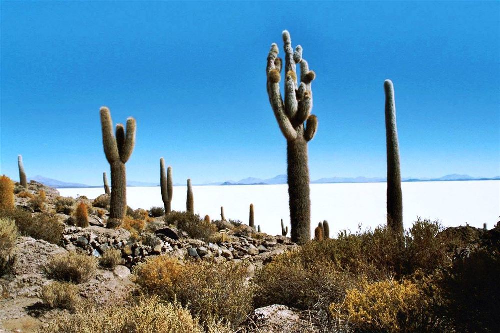 LA QUIACA/UYUNI/LA PAZ - 3 D - ADV-253
