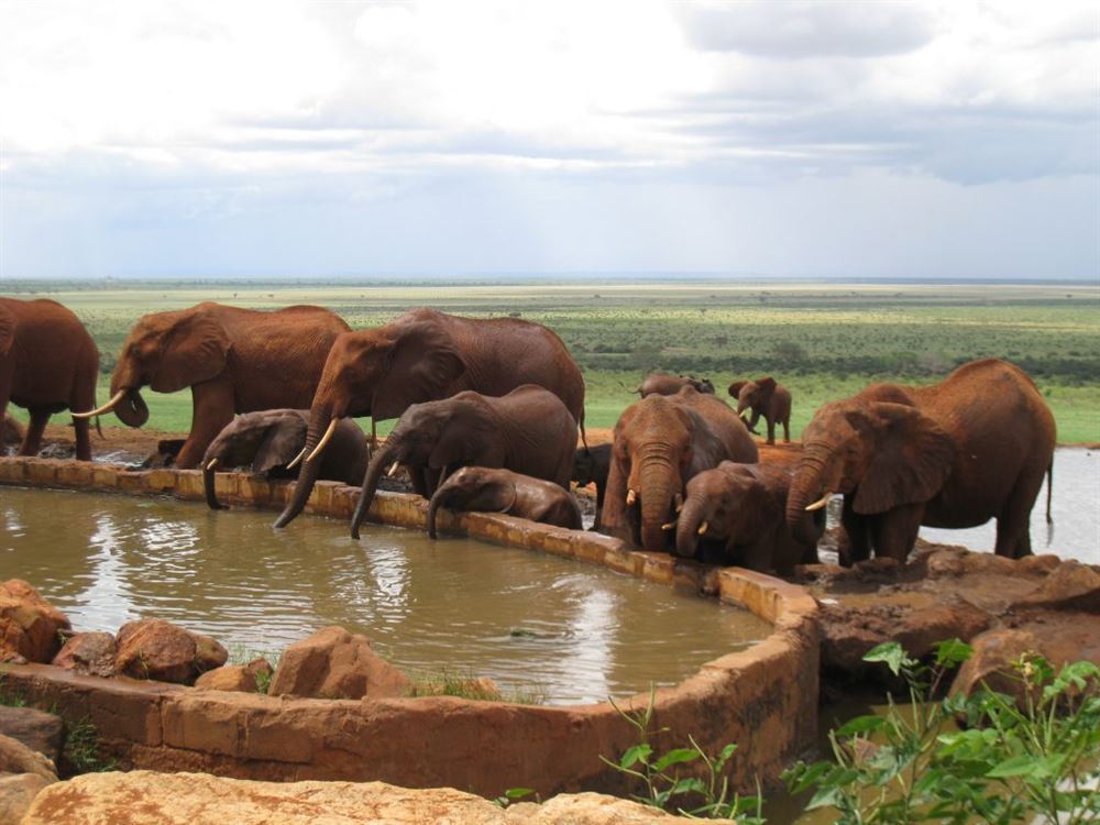Taita Hills and Tsavo East