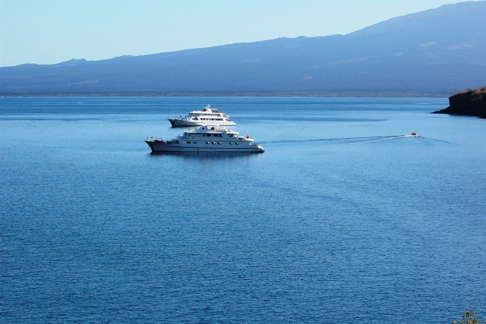 Galapagos Yacht Cruise - Coral I & II (Wednesday) Itinerary D South