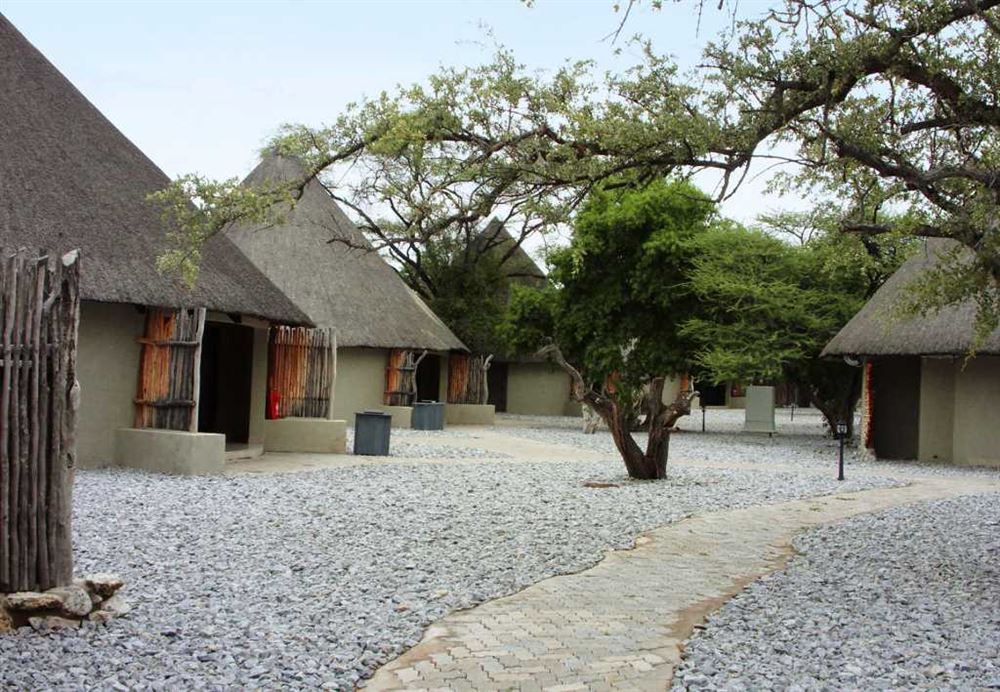 Okaukuejo Camp