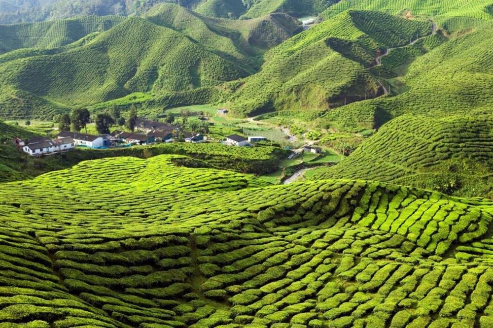 Self-Drive Malay Peninsula from Kuala Lumpur to Penang