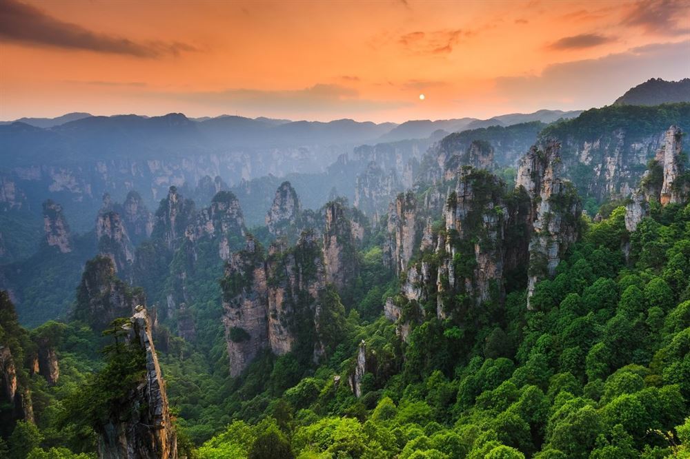 CINA CLASSICA E IL PARCO DI AVATAR (MAX 25 PERSONE)