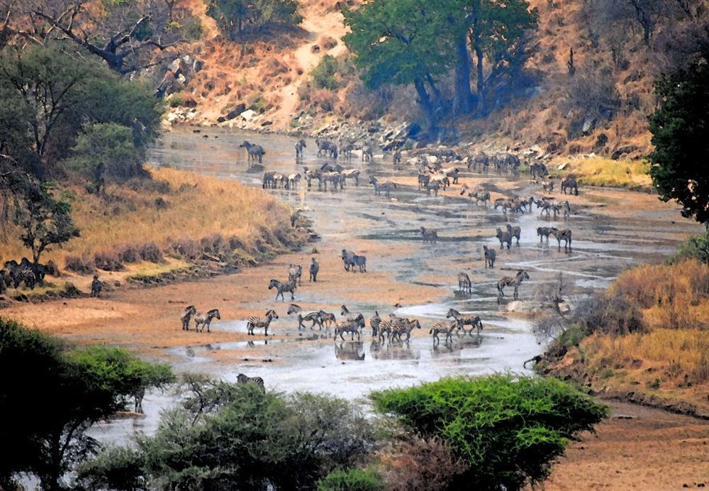 The Best of Tanzania Complete (Private)