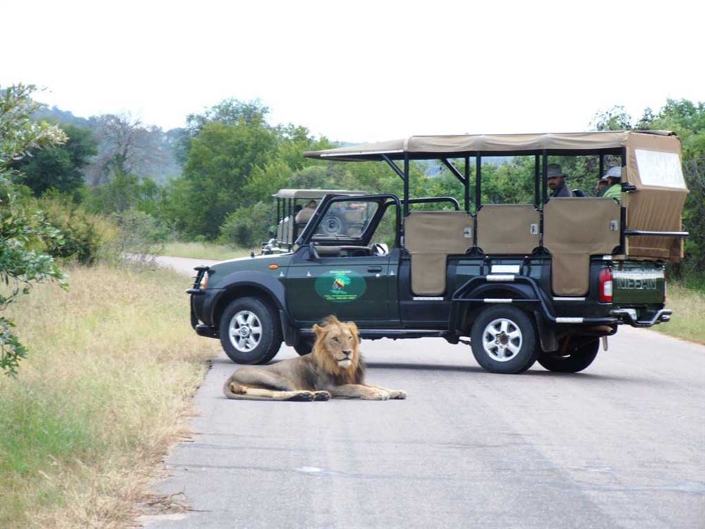 Cape Town - Grootbos - Stellenbosch - Panorama Route - Kruger — 5