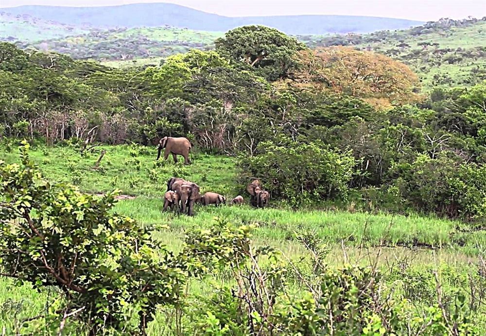 Kwazulu Natal and Kruger Park (from Cape Town) — 5