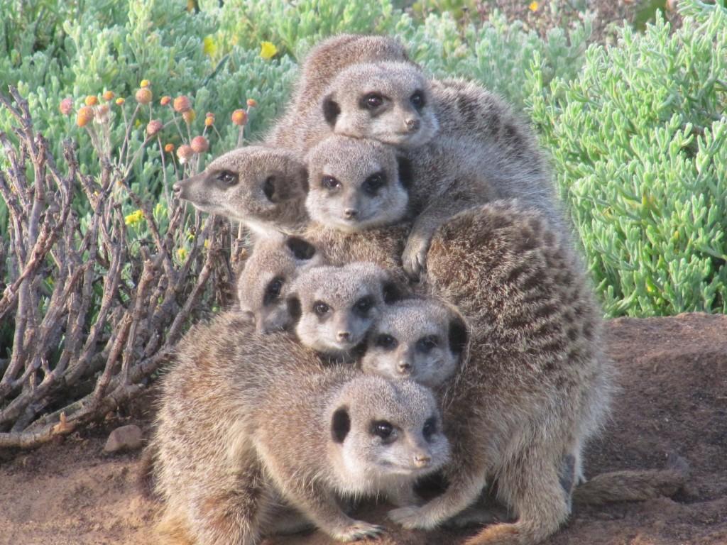 De Zeekoe Guest Farm