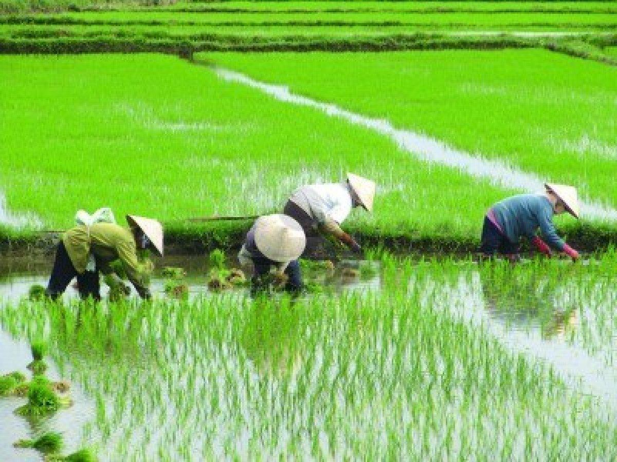 LAOS & VIETNAM ** SHARED GROUP TOUR **
